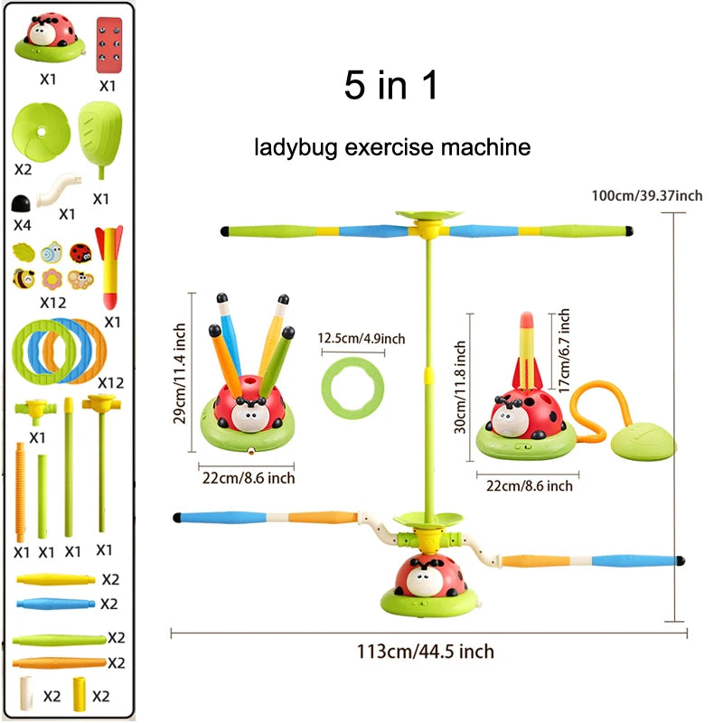 Ladybug Sport Entertainment Toy