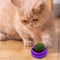 360° Rotating Catnip Ball