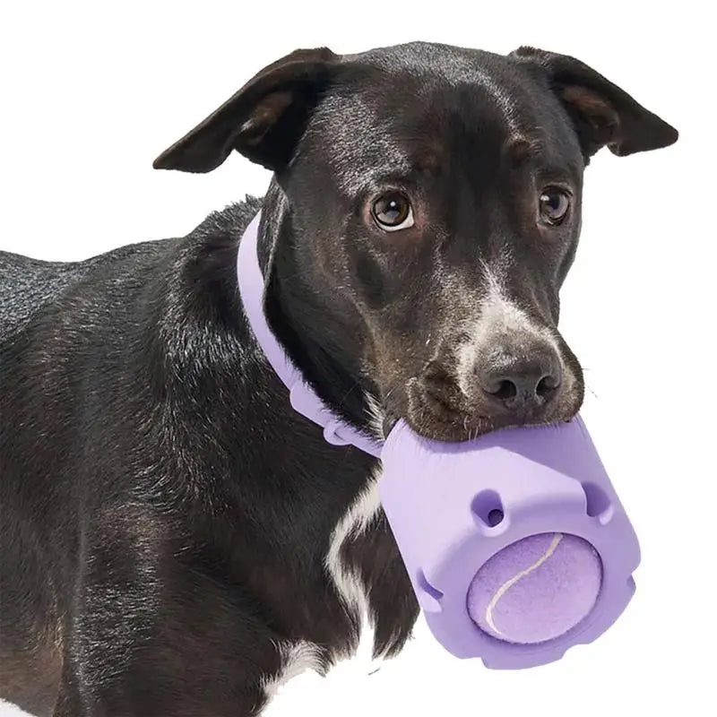Durable Rubber Dog Ball Toy