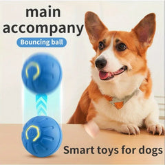 Smart Jumping Ball