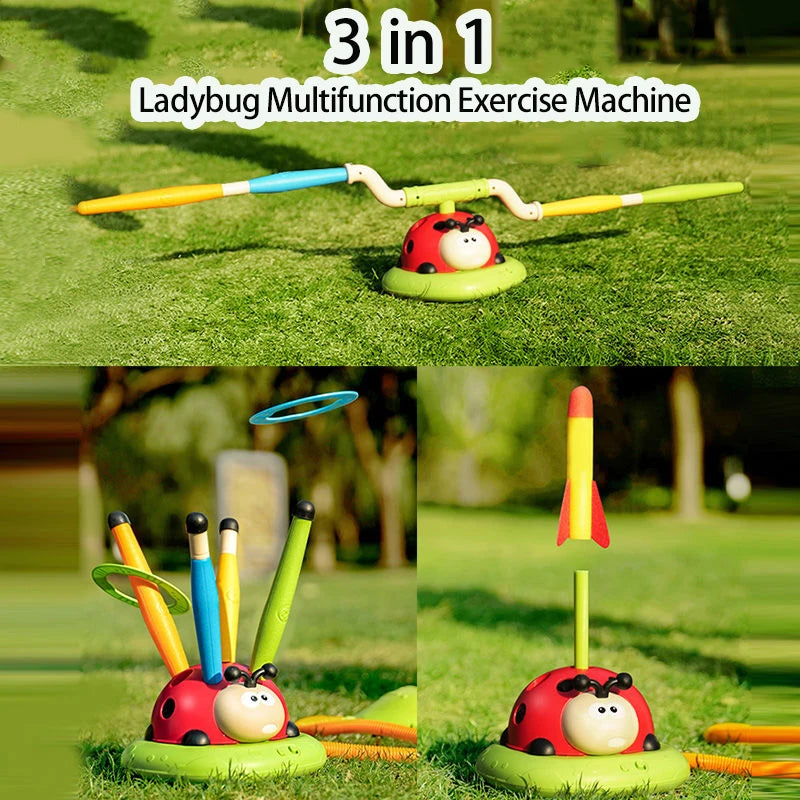 Ladybug Sport Entertainment Toy