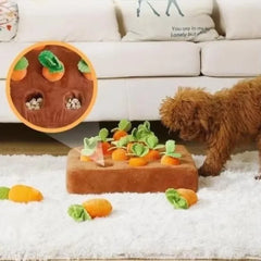 AccessOfJoy Carrot Snuffle Mat for Dogs & Cats