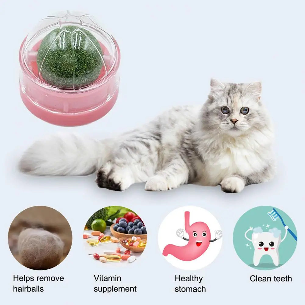 360° Rotating Catnip Ball