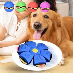 Pet Deformable Bouncy Ball
