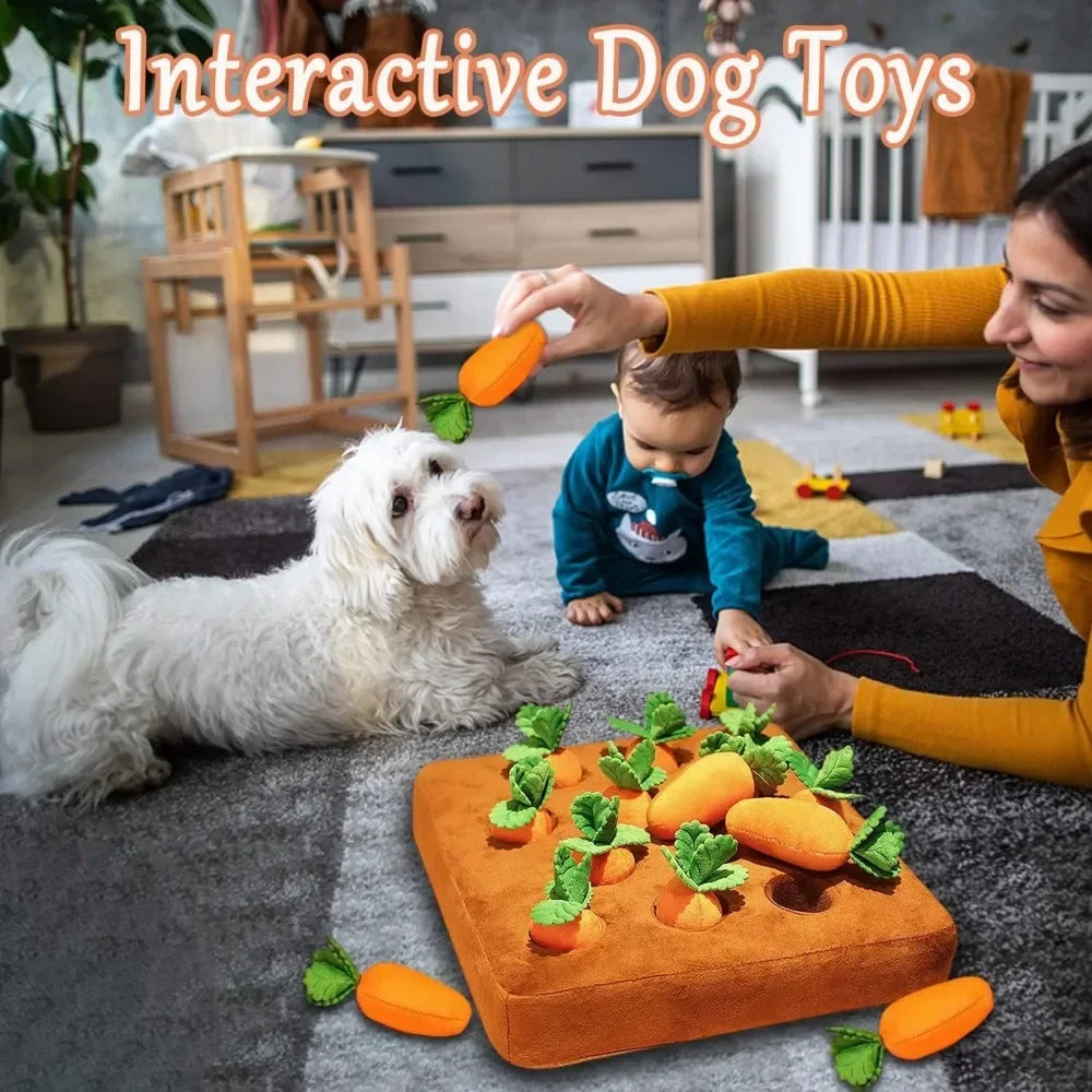 AccessOfJoy Carrot Snuffle Mat for Dogs & Cats