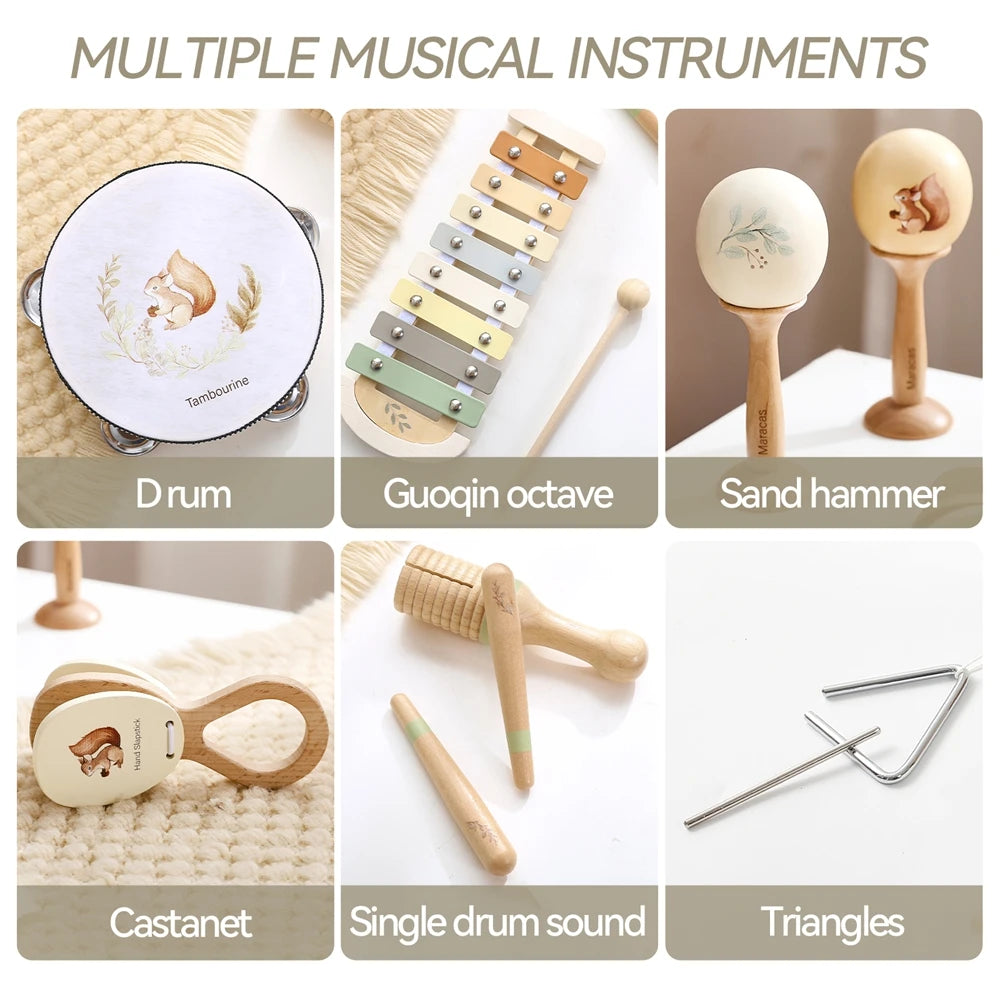 Montessori Musical Instrument Set