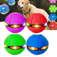 Pet Deformable Bouncy Ball