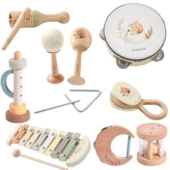 Montessori Musical Instrument Set
